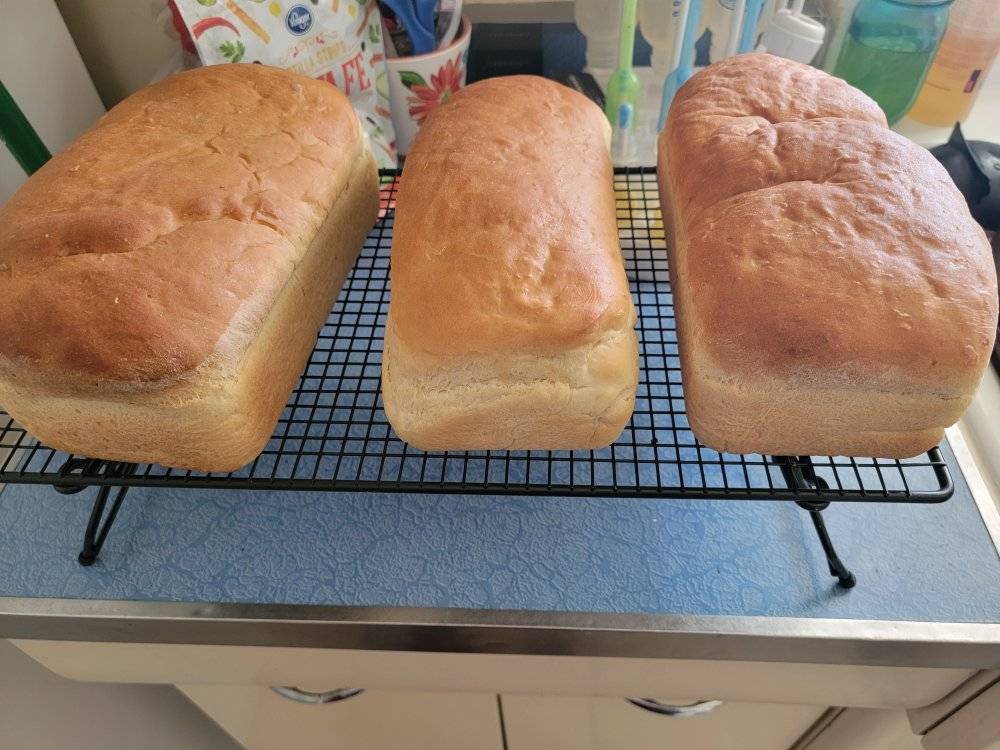 White bread loaves